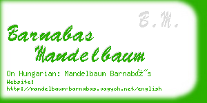 barnabas mandelbaum business card